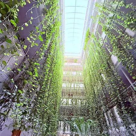 Sunset - Playa Del Cura, 10 Meters To Beach, Sea View, Centrally Located, Locos